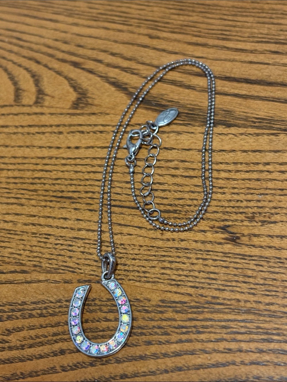 Iridescent Silver Horseshoe Adult Jewels Necklace